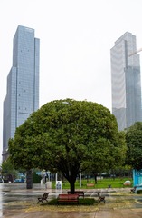 325335