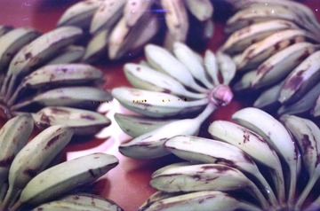 Scan-111017-0012.jpg