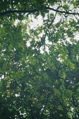 C8CB4B07-7D12-4B8D-81DC-35F38AFC4E4C/L0/001