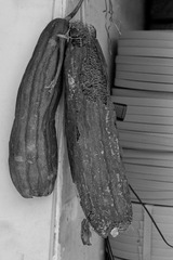 DSC_2804.jpg