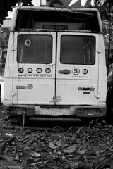 DSC_3034.jpg