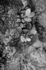 DSC_3049.jpg