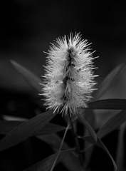 DSC_3151.jpg