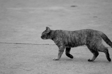 DSC_3165.jpg