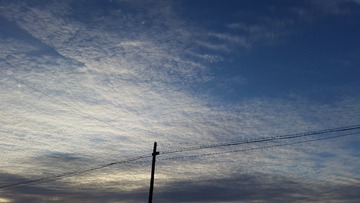 0397287D-B1B2-4762-93CC-FE096ADBE136/L0/001