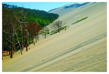 Arcachon