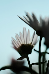 A5FC0947-A32C-43E3-B09D-4DA14B5F8349/L0/001