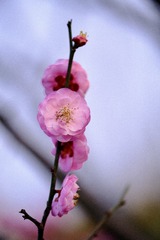D89185BB-1F11-497B-9762-A4EC9C6BE096/L0/001