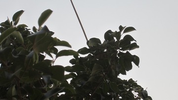 8A66D606-43F2-487B-9EDB-0DFF6B61C6C5/L0/001