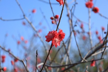 DB099D7D-8E40-47AD-A4A3-D44C7882DDE0/L0/001