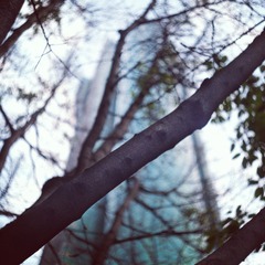 昨天