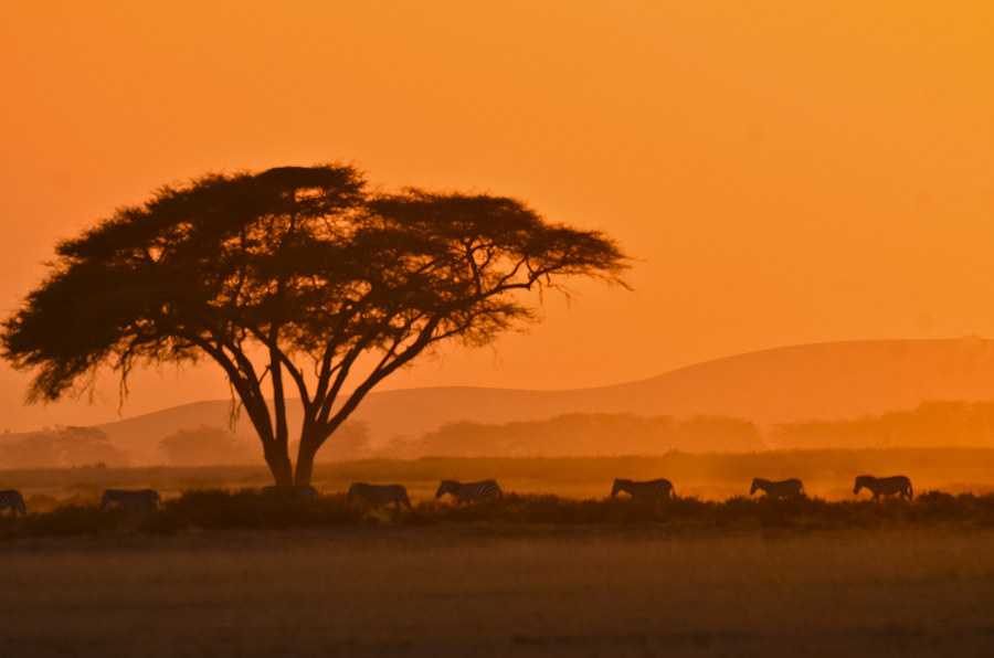 安博赛里草原的黄昏