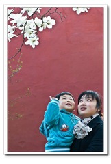 玉兰花 (41 - 1)-8.jpg