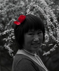 玉兰花 (41 - 1)-99.jpg