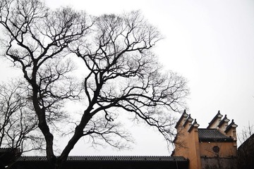 鸡鸣寺后廊