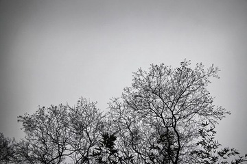 素净·天空
