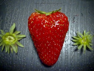 草莓