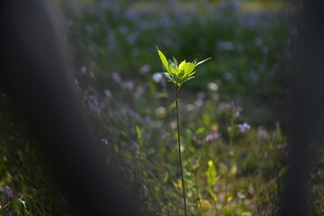 E082C827-A1BB-408A-BE0F-BD9F7B62C705/L0/001