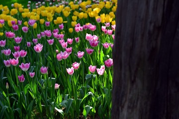 2F22B136-5279-4ED8-9215-99C5CBFAD3AB/L0/001