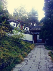 dsc03166_副本.jpg