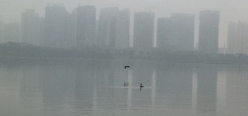 P1040252