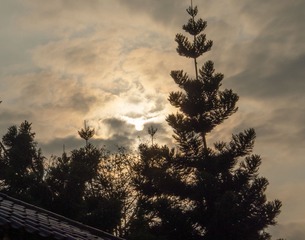 7E5027BC-F439-4B6F-B2B5-608814697042/L0/001