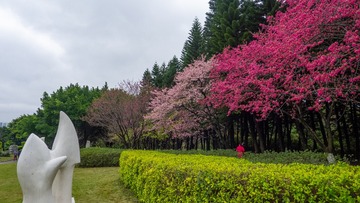 P1040203