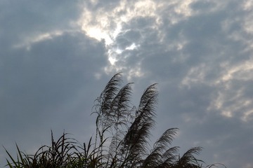 4CF05BA8-32DA-4268-B533-2FE74A82D174/L0/001