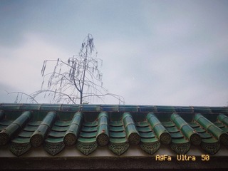 4FF52E52-0DFC-4166-9D10-E1A62CD79C1E/L0/001