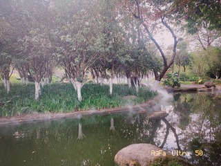 6E59057A-598E-4F89-85FE-3D70468FF3B6/L0/001