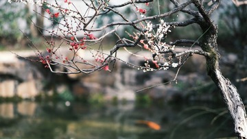 2634ED32-6F2D-4D04-AD2A-96C97DF48BE3/L0/001