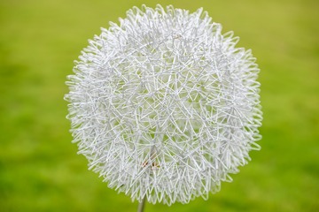 169131