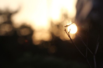 复件 IMG_7303.jpg