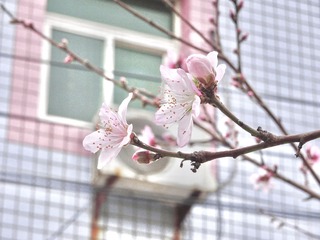 B9954EA3-0A99-4C69-B1CC-691814BA3ABB/L0/001