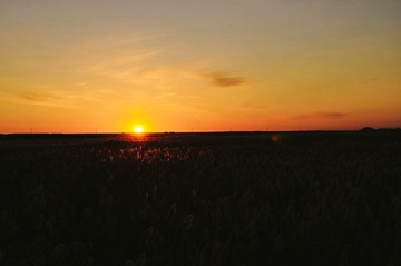 1000032042