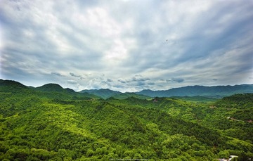 DSC_9202-1.jpg
