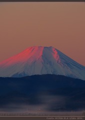 21226
