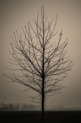 DSC_1042.jpg