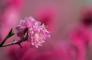 9_IMG3151- 360