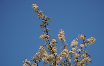 2BEA9B5F-0018-4BCD-B995-E248FC461292/L0/001