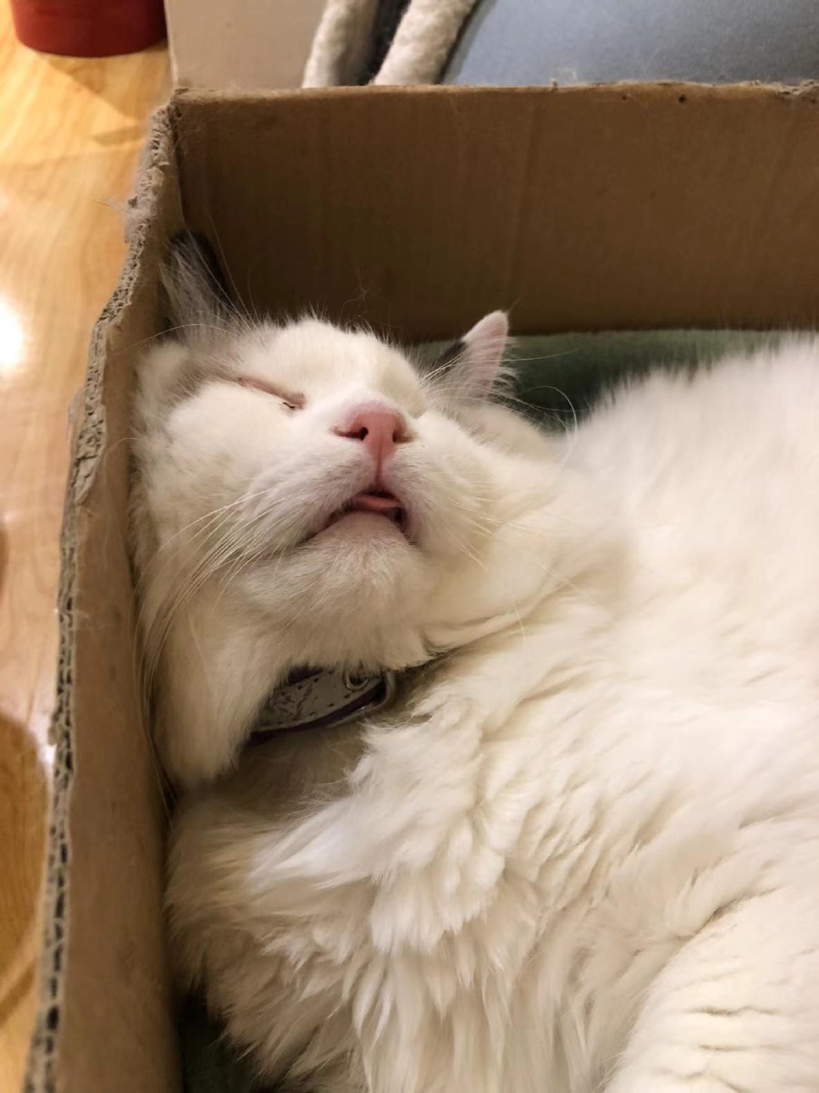 没事就嘚瑟嘚瑟反正闲着也是闲着