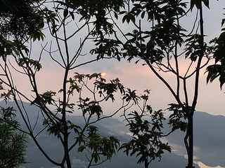 C3D6785E-D589-423F-B337-A29B87DDA869/L0/001