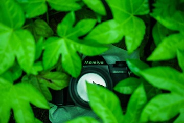 IMG_3653-1.jpg