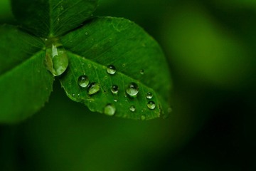IMG_5770-2.jpg