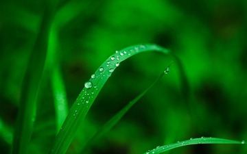 IMG_6602-1.jpg