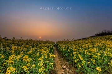 _MG_9127-3.jpg