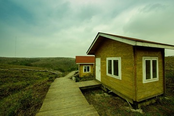 IMG_9866.jpg