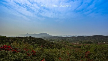 IMG_9515.jpg