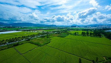 363A0914.jpg