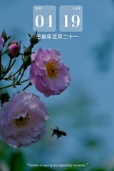 0A9D8102-B72B-42FC-8335-93819767E61B/L0/001